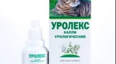 Urcaks - prvá pomoc na choroby orgánov urogenitálneho systému u mačiek